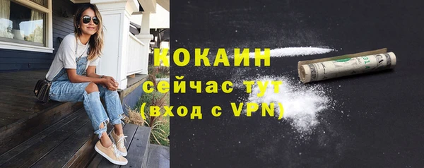 шишки Алапаевск