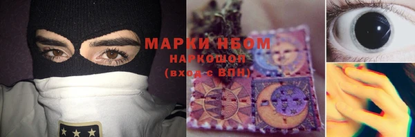 ПСИЛОЦИБИНОВЫЕ ГРИБЫ Чердынь