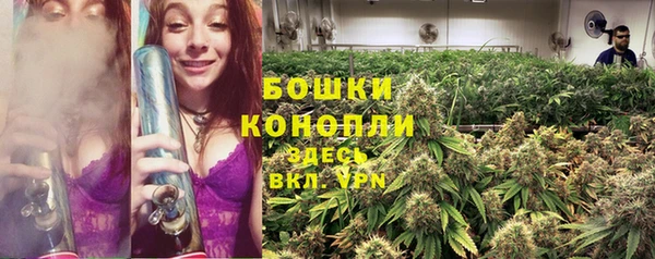 шишки Алапаевск
