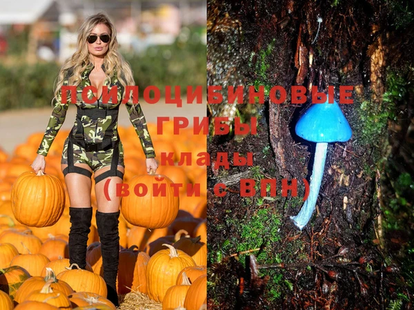винт Чегем