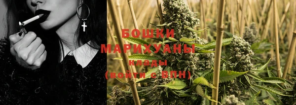 ПСИЛОЦИБИНОВЫЕ ГРИБЫ Чердынь