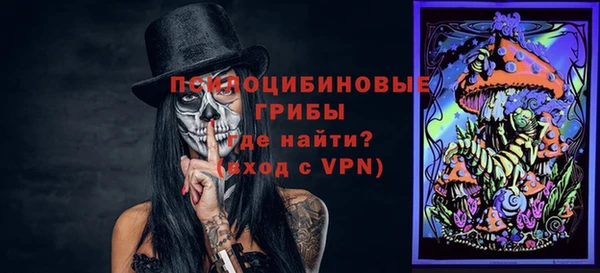 эйфоретик Чекалин
