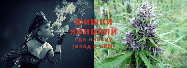 винт Чегем