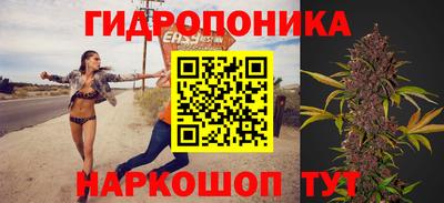 крисы Балаково