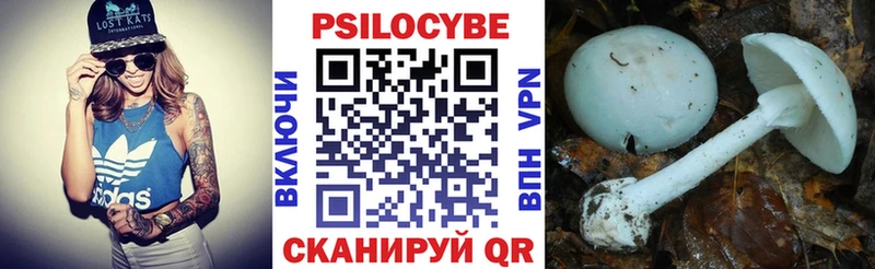 MEGA ссылки  Мытищи  сайты даркнета наркотические препараты  купить закладку  Галлюциногенные грибы мицелий 