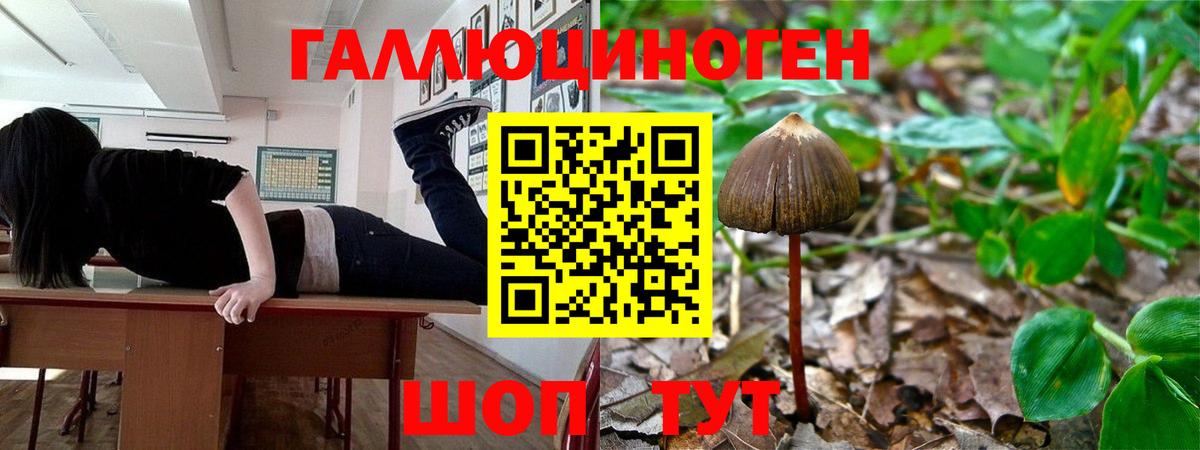 Галлюциногенные грибы Magic Shrooms  где можно купить   Галлюциногенные грибы мухоморы  Мытищи 