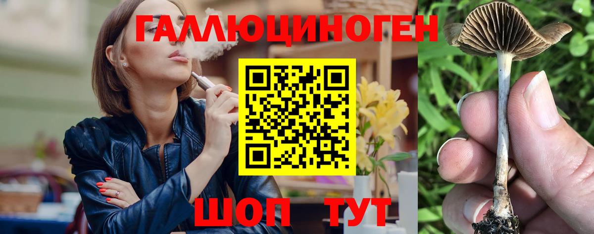 Псилоцибиновые грибы Psilocybine cubensis Мытищи