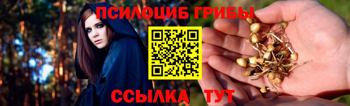 Псилоцибиновые грибы MAGIC MUSHROOMS  Вход с VPN  Мытищи  Псилоцибиновые грибы Psilocybe 